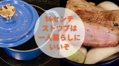 14cmストウブは一人暮らし自炊に最適 一人鍋レシピも充実 ダイちゃん 公式ブログ